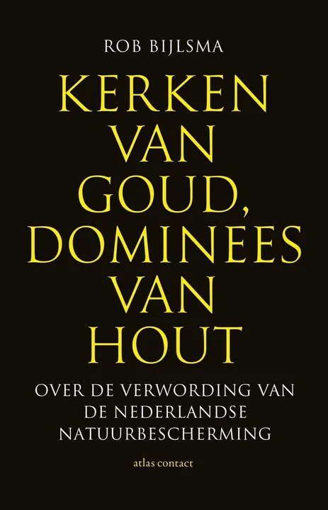 Boekomslag van Kerken van goud, dominees van hout van Rob Bijlsma