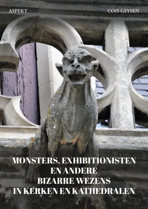 Boekomslag van Monsters, exhibitionisten en andere bizarre wezens in kerken en kathedralen van Cois Geysen