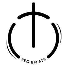 Logo van Volle Evangelie Gemeente Effata